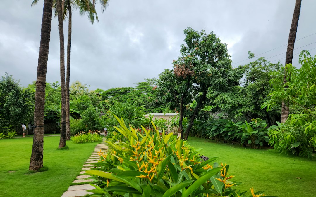 A lush tropical backyard garden filled with dense greenery and exotic plants.